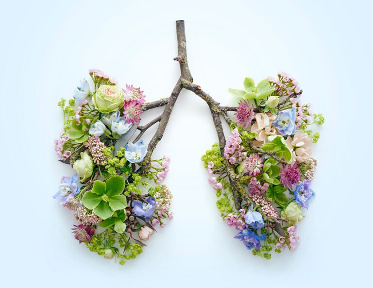 Lungs Healthy